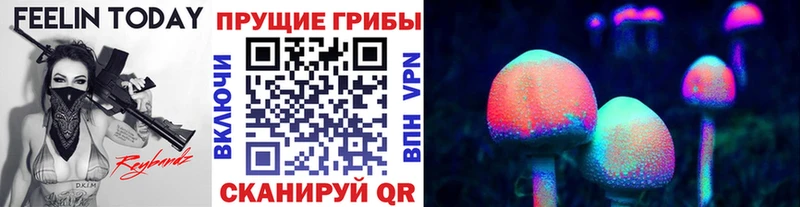 блэк спрут как зайти  Аксай  Псилоцибиновые грибы Cubensis  купить наркотик 