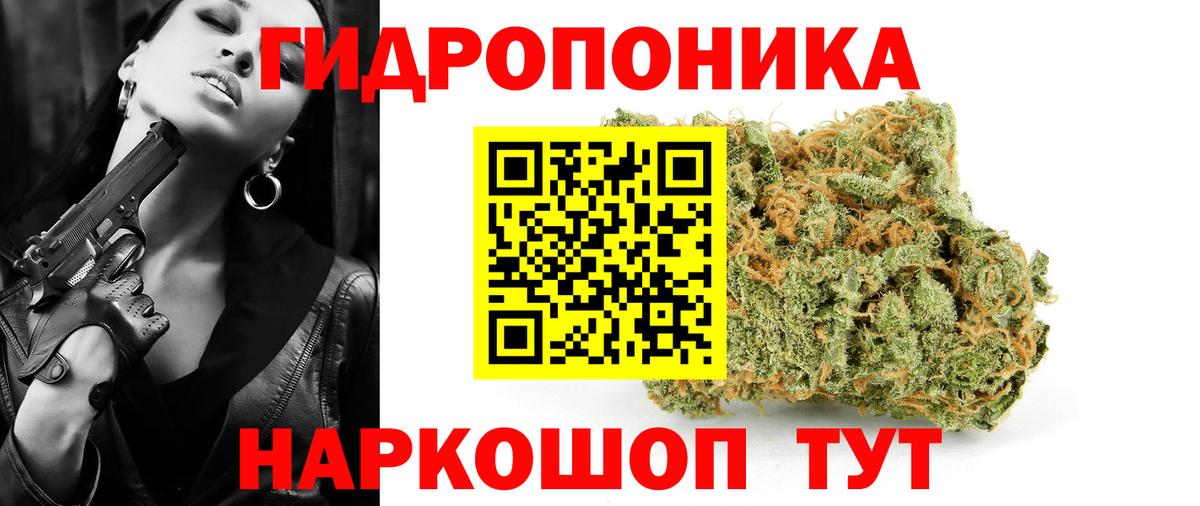 Бошки Шишки планчик  Вход с VPN  МАРИХУАНА White Widow  Аксай  Конопля план 